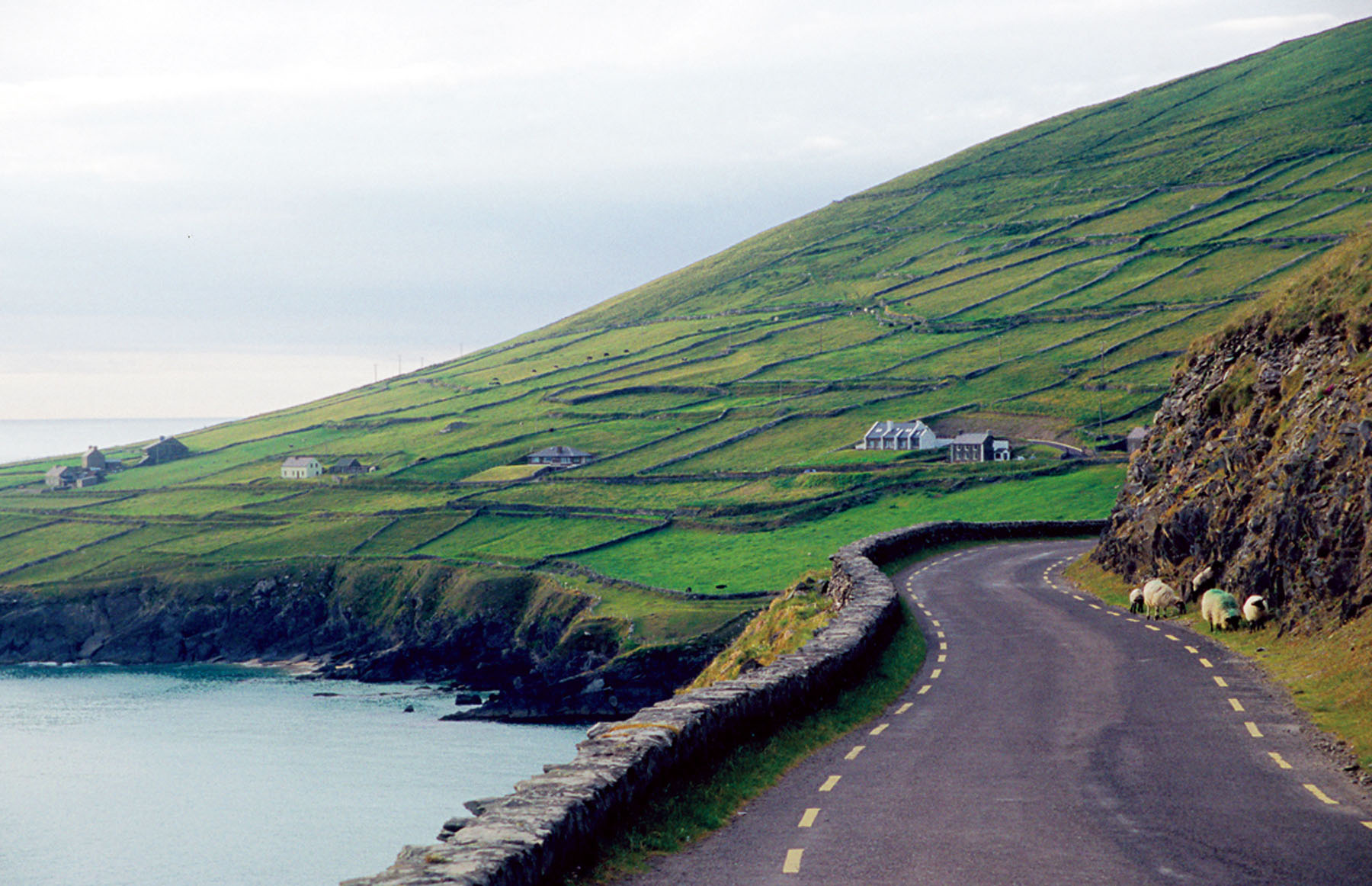 Discover Kerry Ireland 8 Top Reasons To Visit The Kingdom County   090323 Ireland Dingle Peninsula 